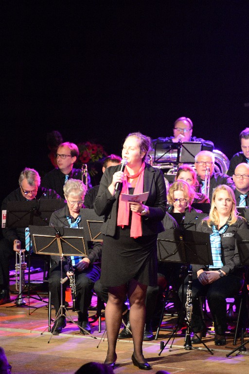 ../Images/Jubileumconcert 100 jaar Harpe Davids 274.jpg